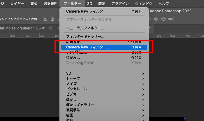 Camera Rawフィルターを適用